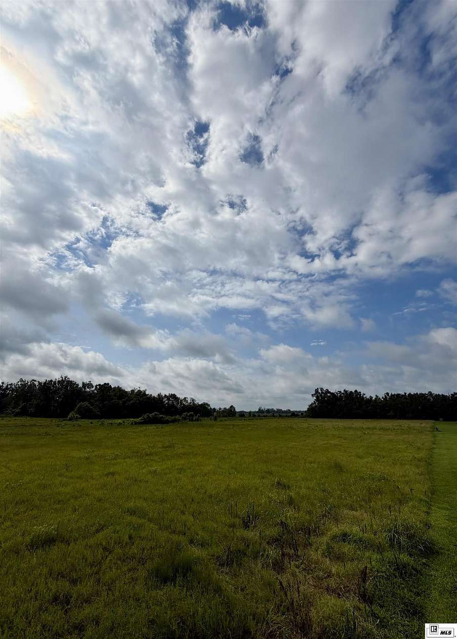 3.5 Acres of Residential Land for Sale in Oak Ridge, Louisiana