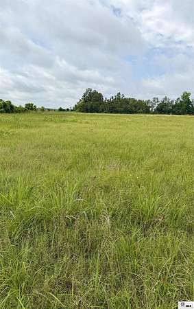 3.5 Acres of Residential Land for Sale in Oak Ridge, Louisiana
