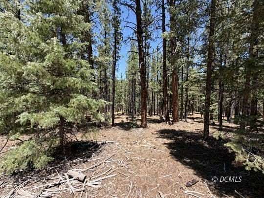 0.42 Acres of Residential Land for Sale in Panguitch, Utah