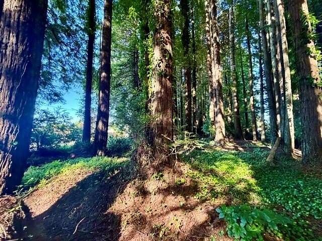 1.54 Acres of Residential Land for Sale in Eureka, California