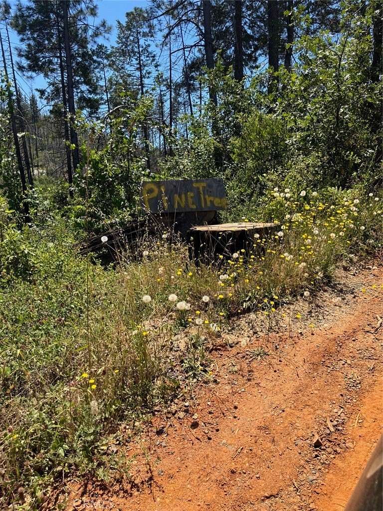 4.39 Acres of Residential Land for Sale in Berry Creek, California