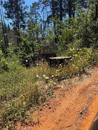 4.39 Acres of Residential Land for Sale in Berry Creek, California