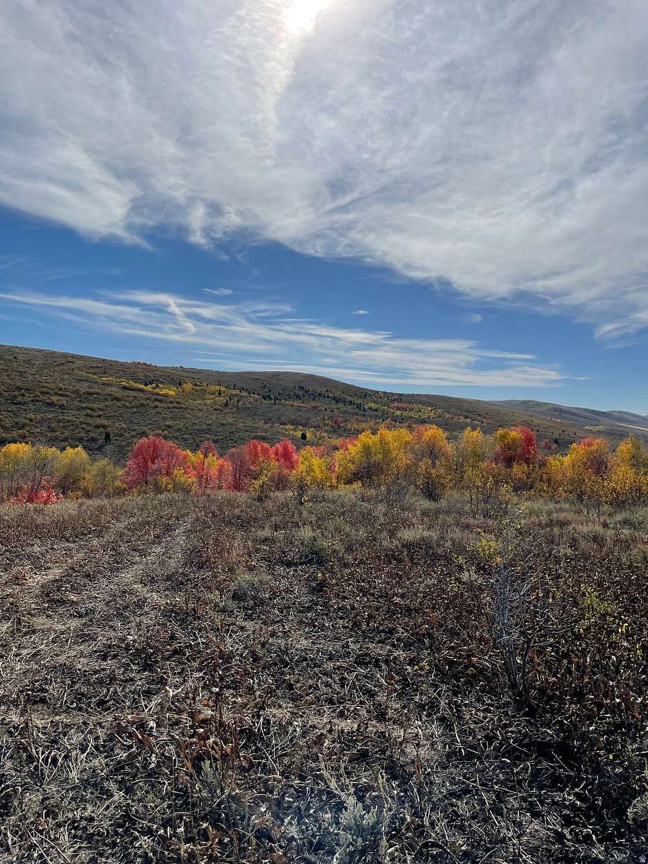 30 Acres of Land for Sale in Montpelier, Idaho