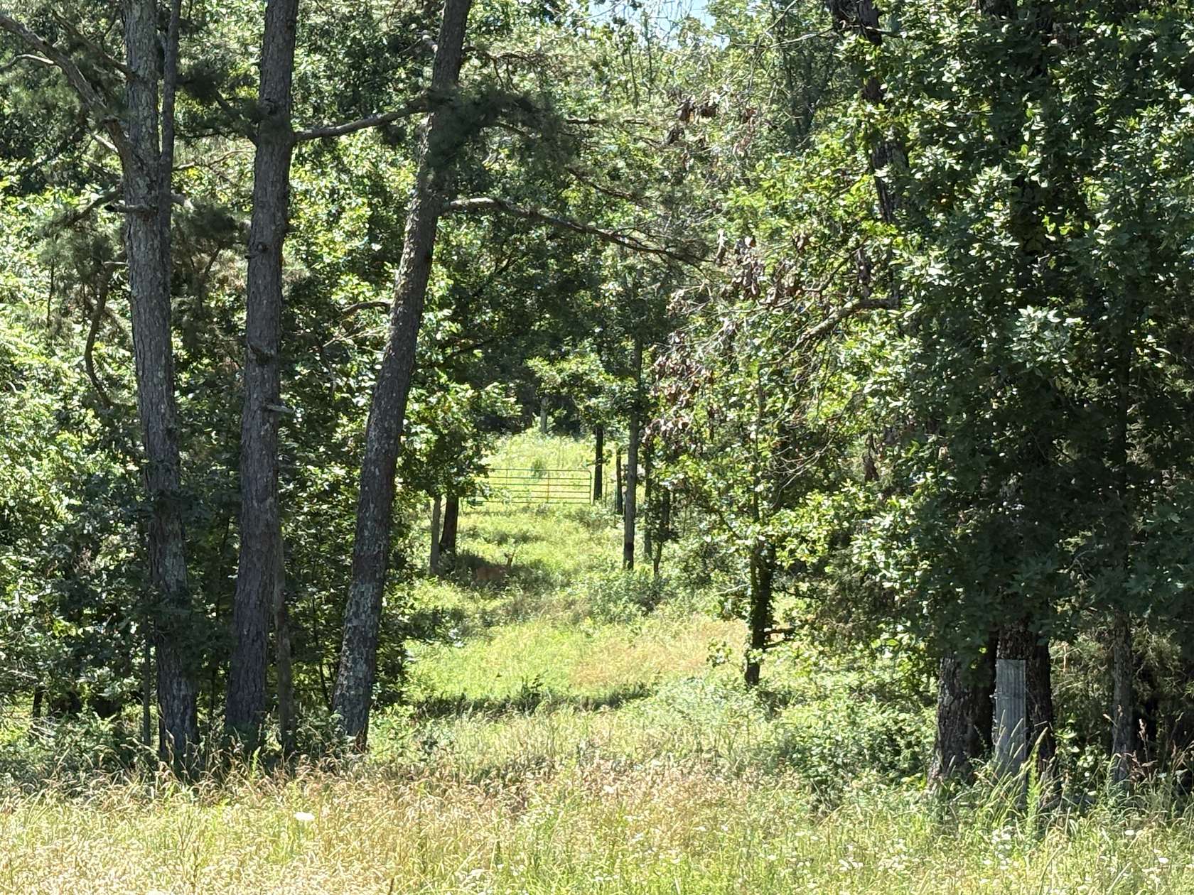 45 Acres of Land with Home for Sale in Licking, Missouri