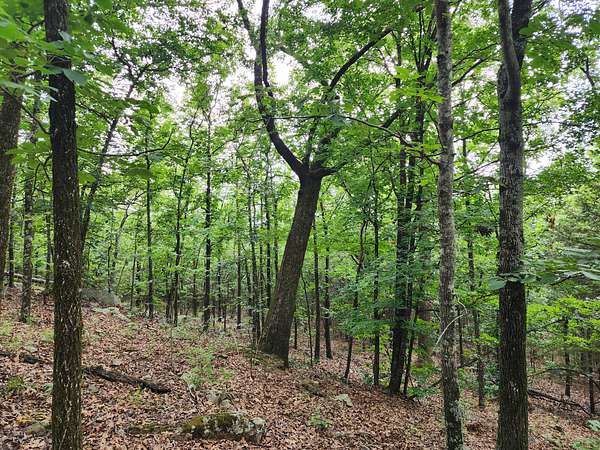 22 Acres of Land for Sale in Heavener, Oklahoma