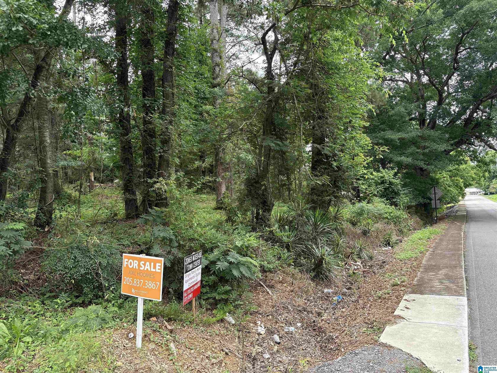 0.3 Acres of Mixed-Use Land for Sale in Ashville, Alabama