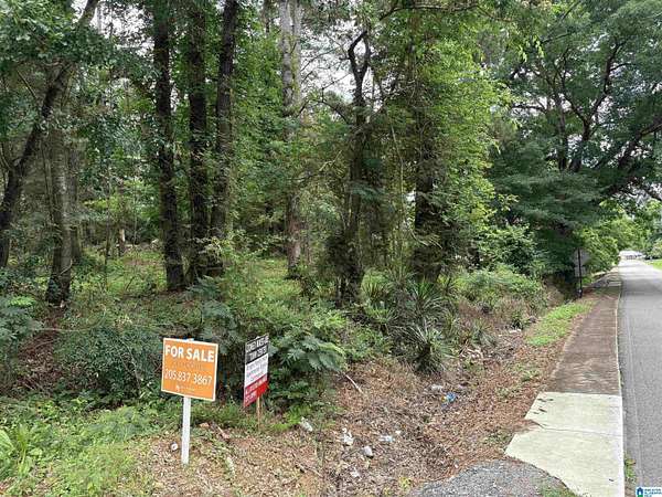0.3 Acres of Mixed-Use Land for Sale in Ashville, Alabama
