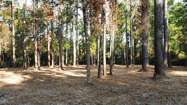 1.13 Acres of Mixed-Use Land for Sale in Tyler, Texas