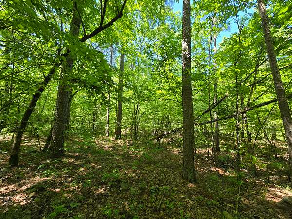 30 Acres of Land for Sale in Heavener, Oklahoma