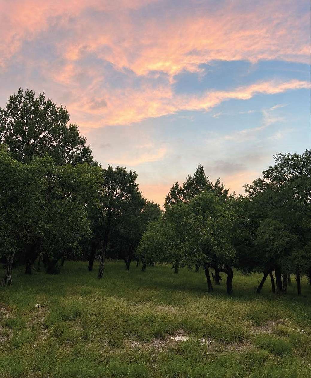 0.23 Acres of Residential Land for Sale in Horseshoe Bay, Texas