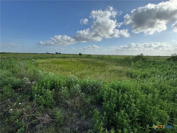 61.5 Acres of Land for Sale in Hallettsville, Texas