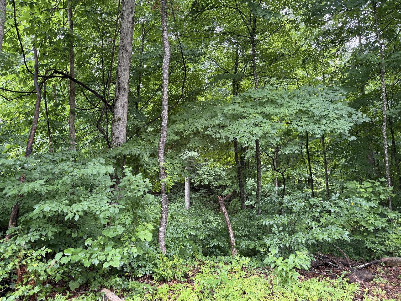 0.25 Acres of Residential Land for Sale in Bronston, Kentucky