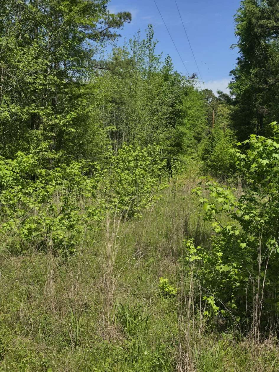 5 Acres of Residential Land for Sale in Tyler, Texas