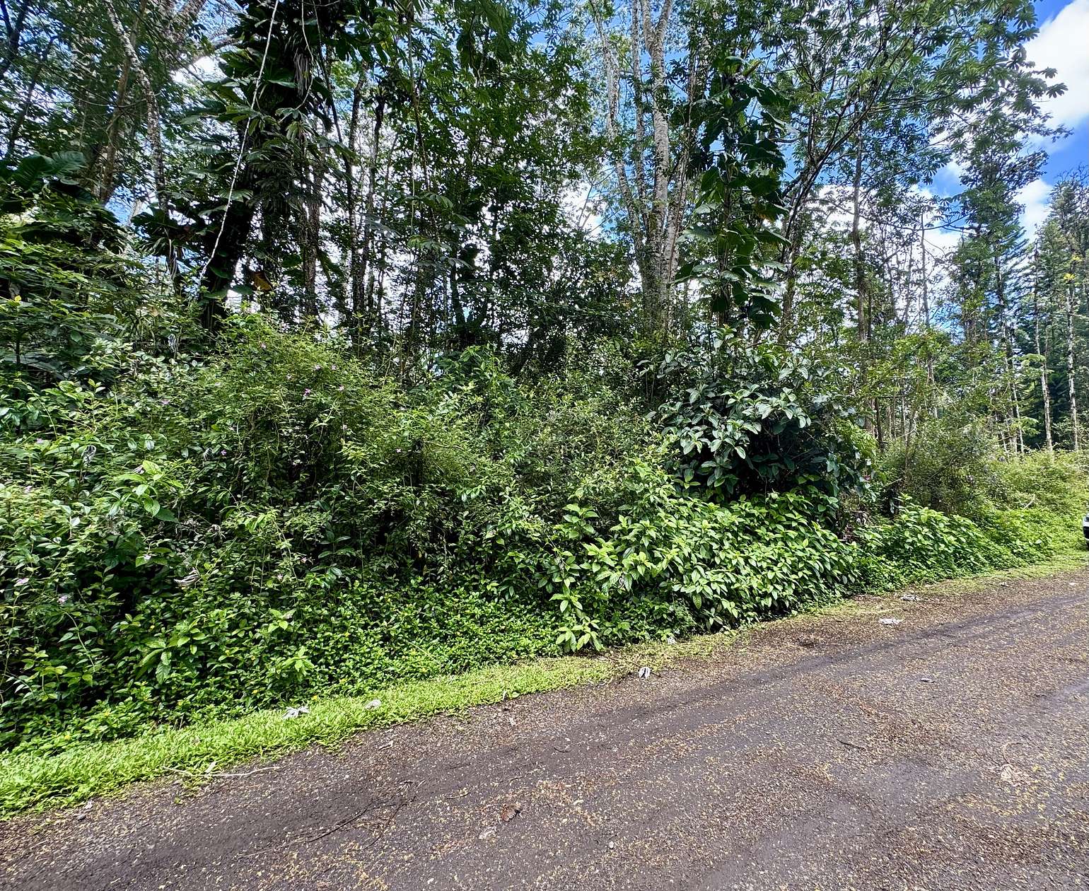 0.19 Acres of Residential Land for Sale in Pahoa, Hawaii