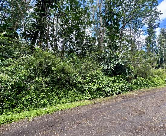 0.19 Acres of Residential Land for Sale in Pahoa, Hawaii