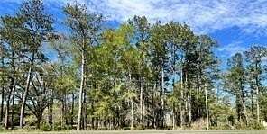 5.46 Acres of Commercial Land for Sale in Mandeville, Louisiana