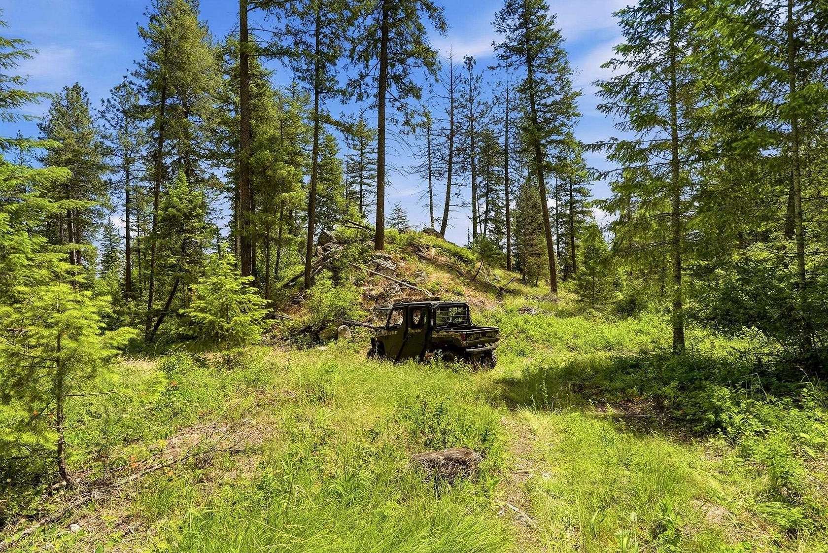 147 Acres of Recreational Land for Sale in Deer Park, Washington