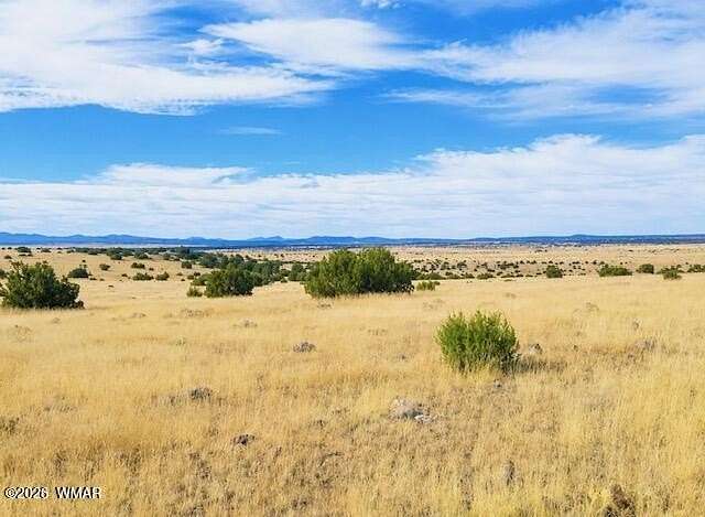 1.12 Acres of Residential Land for Sale in Concho, Arizona