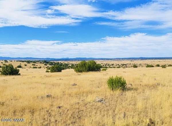 1.12 Acres of Residential Land for Sale in Concho, Arizona