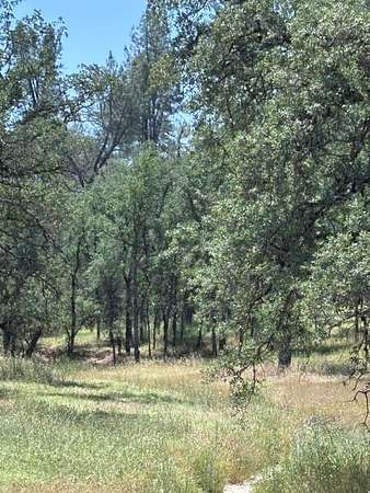 38.5 Acres of Land for Sale in Bella Vista, California