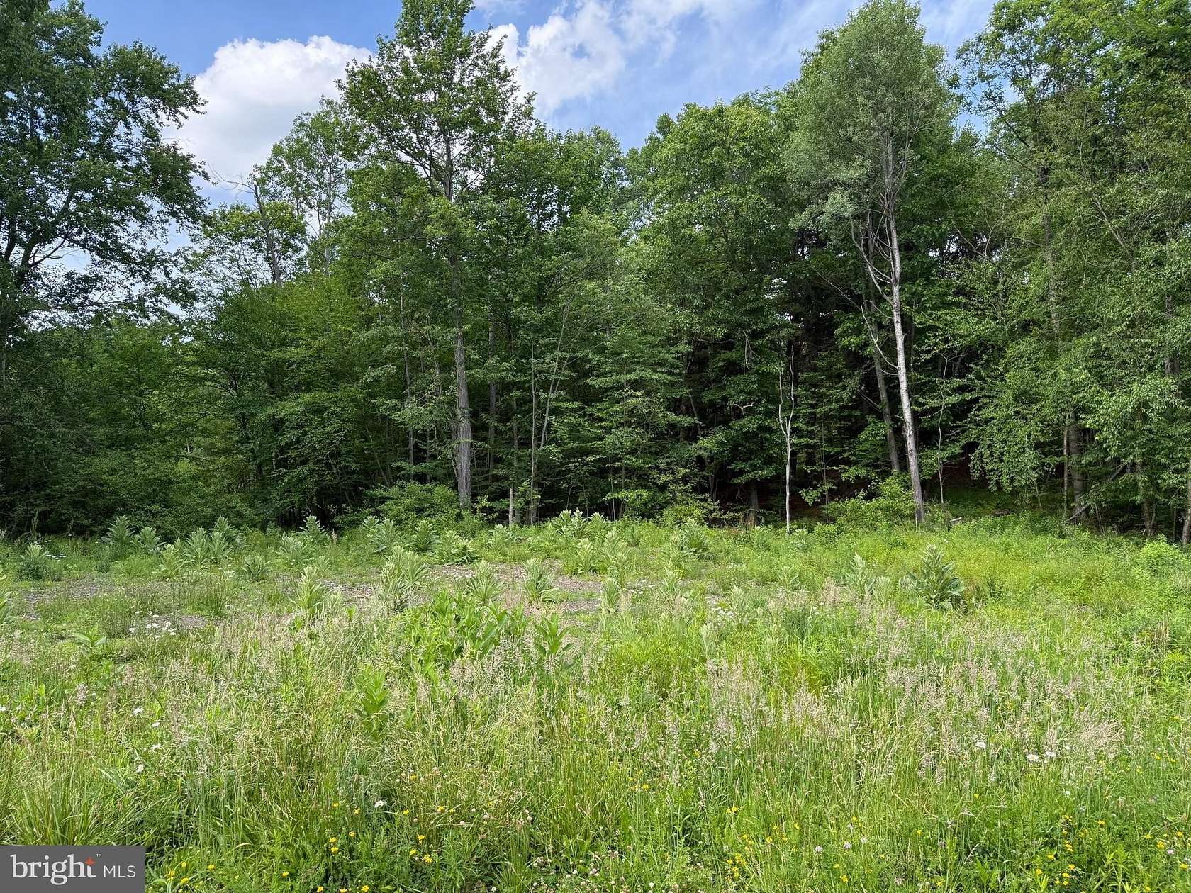 0.46 Acres of Land for Sale in Philipsburg, Pennsylvania