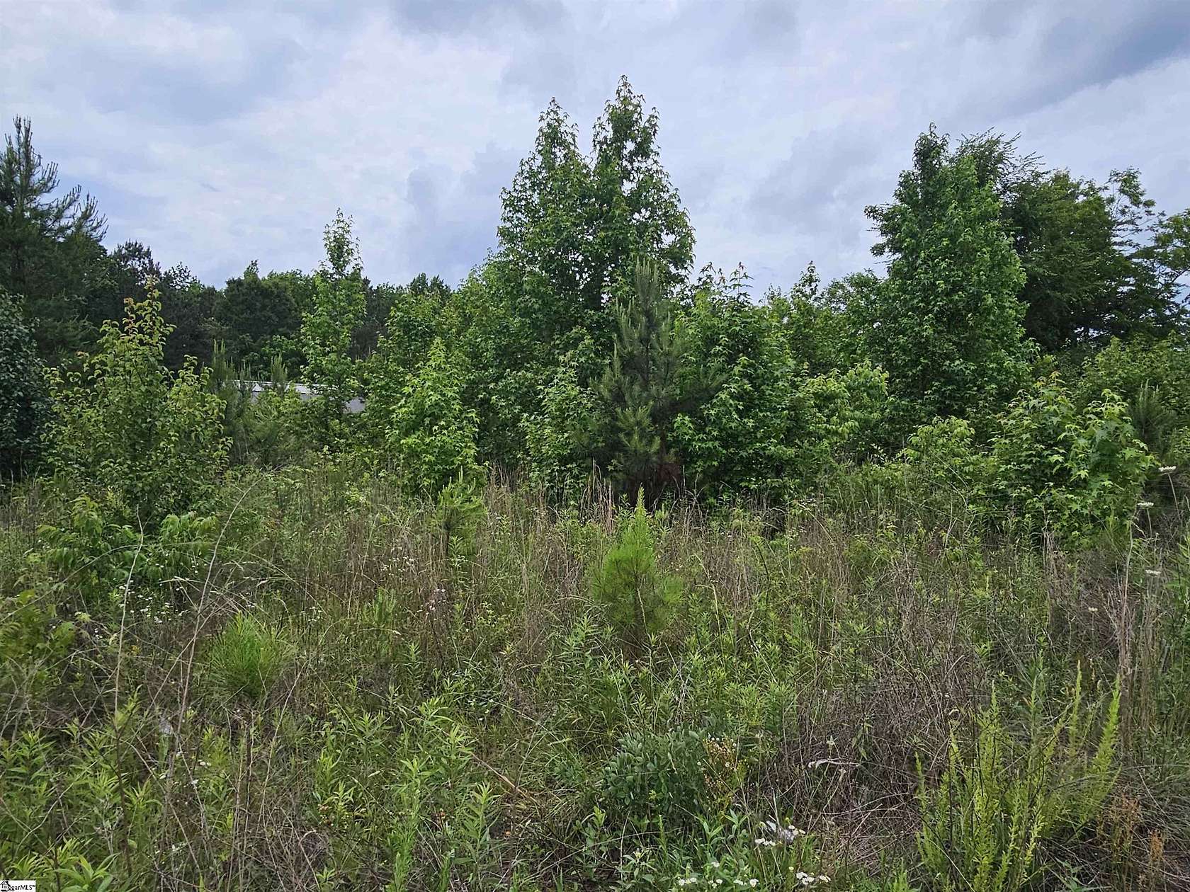 0.22 Acres of Residential Land for Sale in Clinton, South Carolina