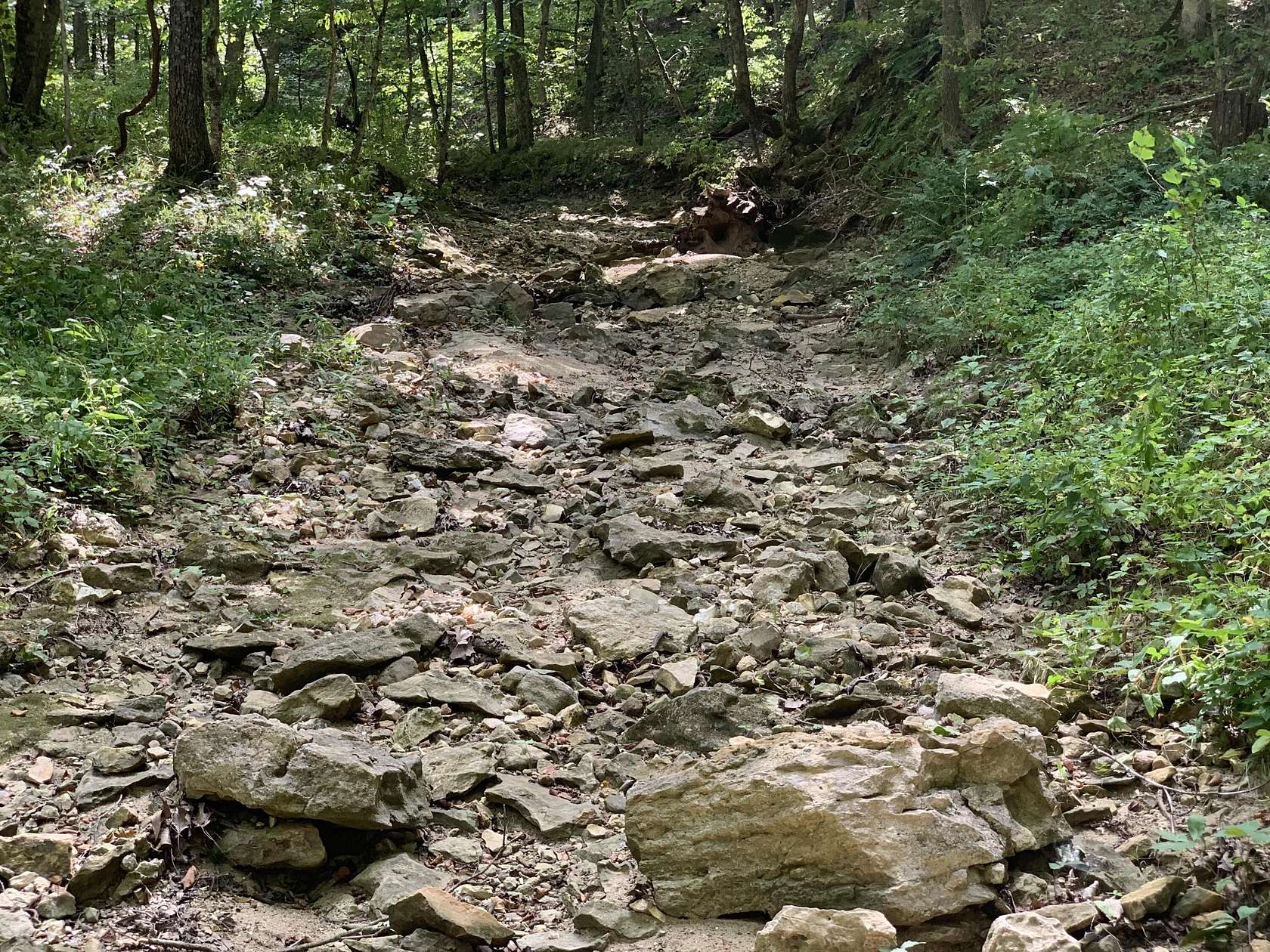 40 Acres of Recreational Land for Sale in Fulton, Missouri