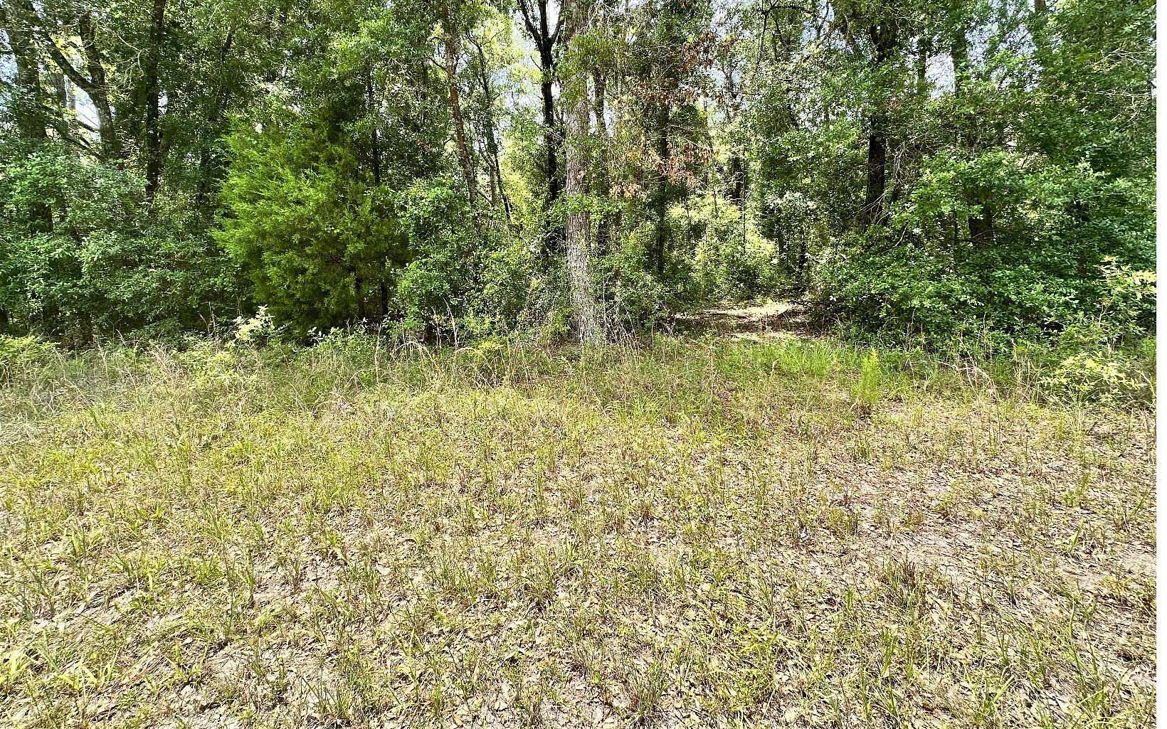 1 Acre of Residential Land for Sale in O'Brien, Florida