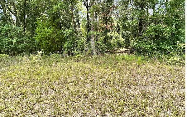 1 Acre of Residential Land for Sale in O'Brien, Florida