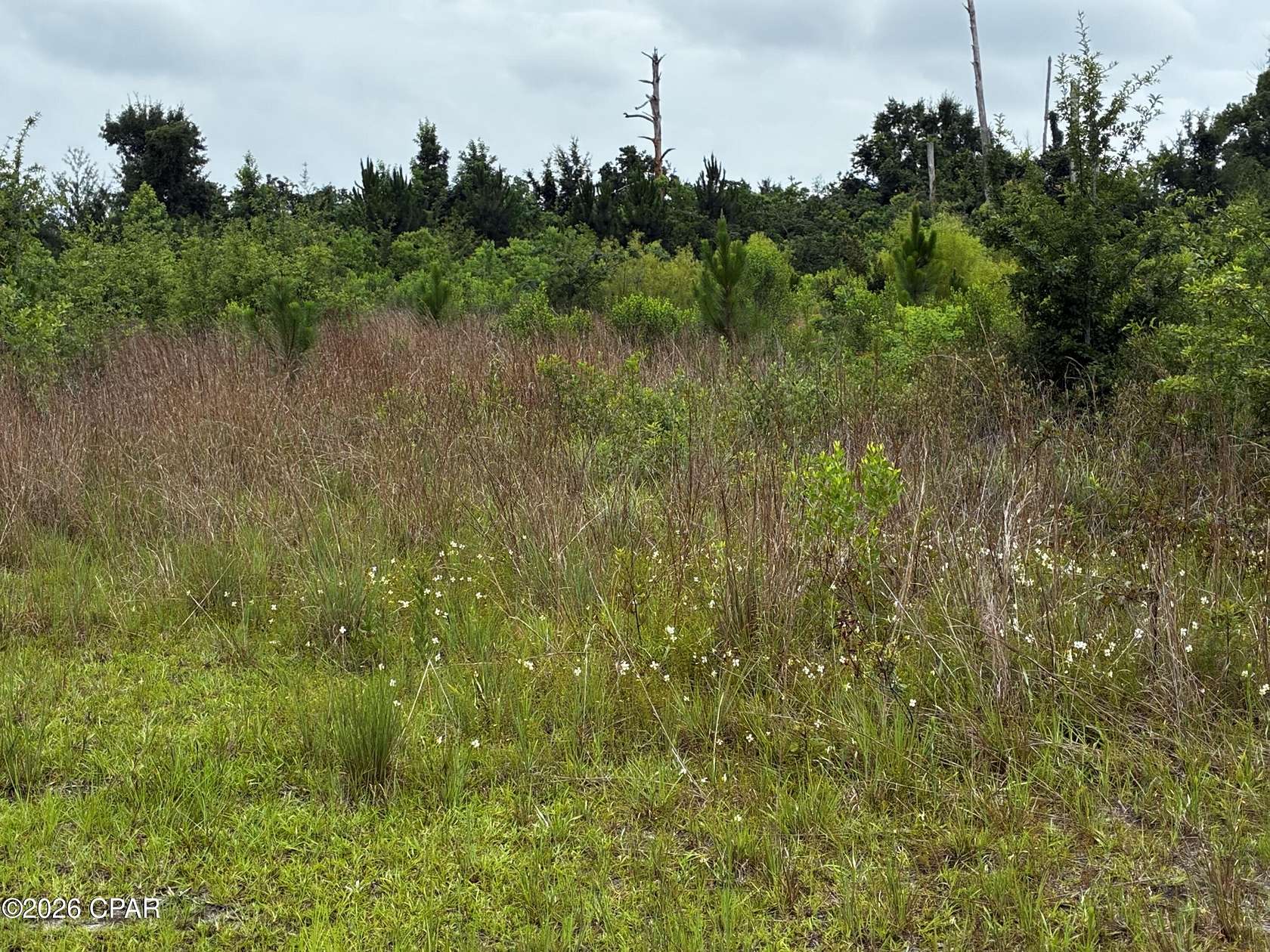2.59 Acres of Residential Land for Sale in Panama City, Florida