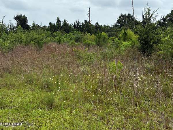 2.59 Acres of Residential Land for Sale in Panama City, Florida