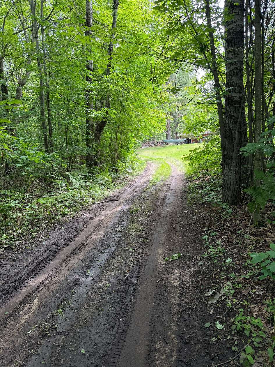 30 Acres of Recreational Land for Sale in Hale, Michigan