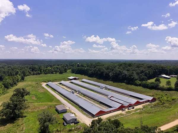 19 Acres of Agricultural Land for Sale in Phil Campbell, Alabama