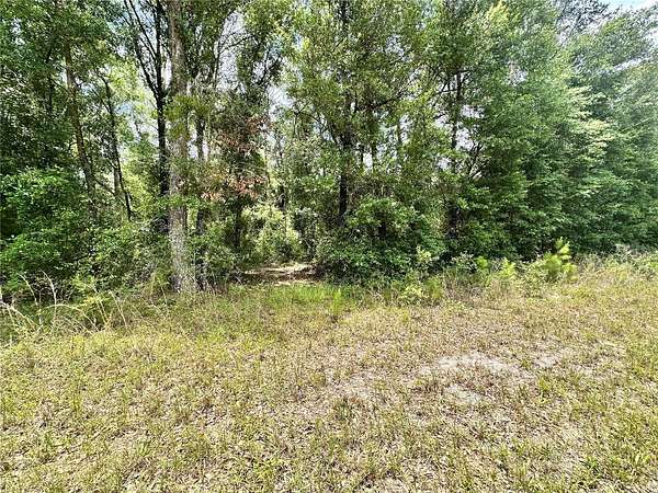 1.2 Acres of Residential Land for Sale in O'Brien, Florida