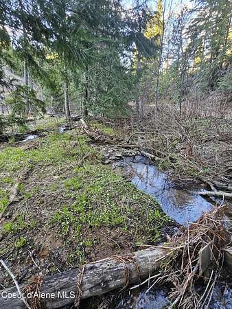 5.4 Acres of Land for Sale in St. Maries, Idaho