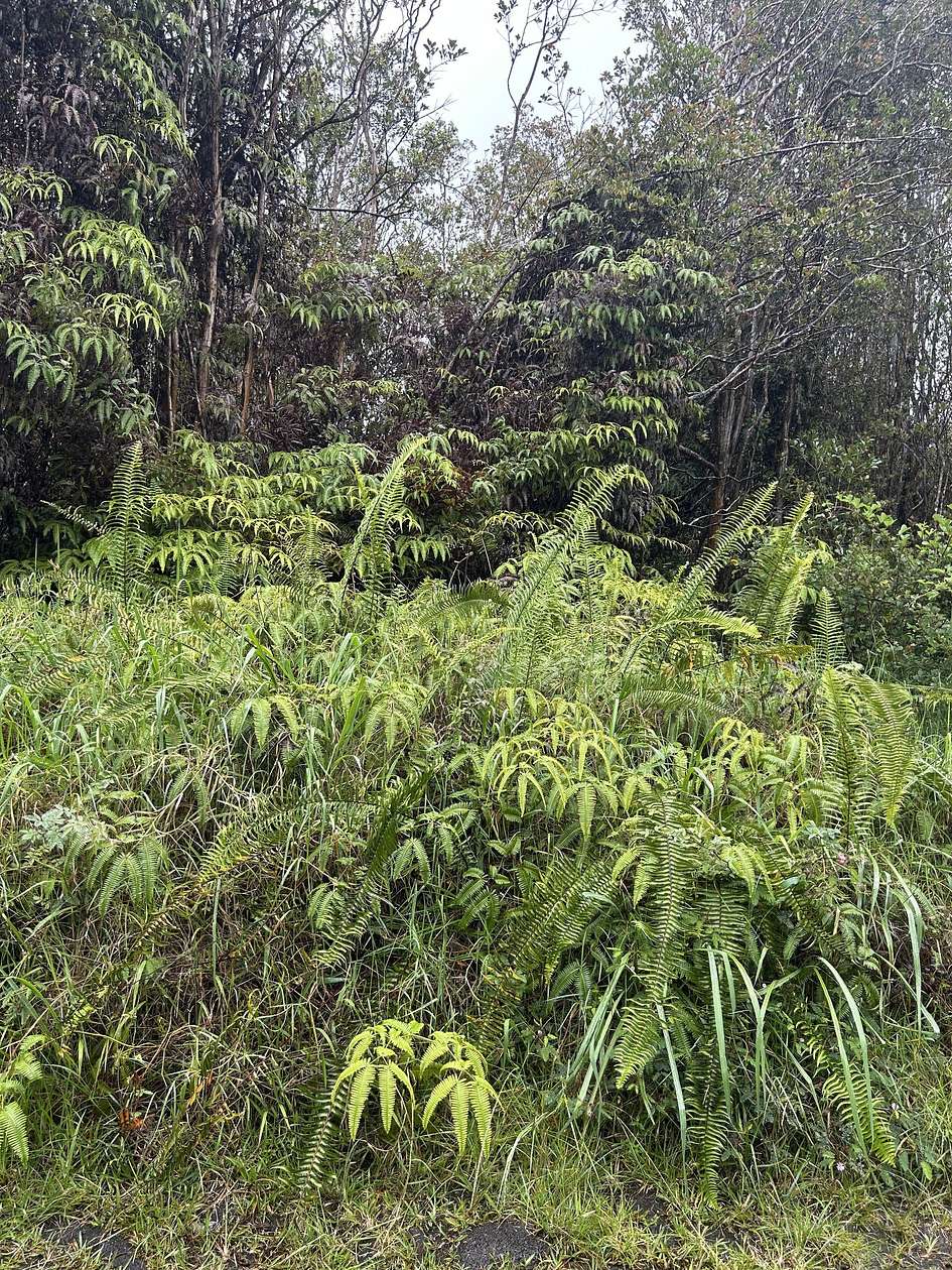 0.24 Acres of Land for Sale in Mountain View, Hawaii
