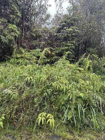 0.24 Acres of Land for Sale in Mountain View, Hawaii