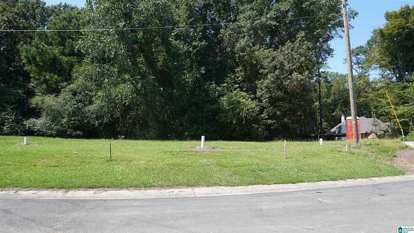 4.4 Acres of Residential Land for Sale in Tuscaloosa, Alabama