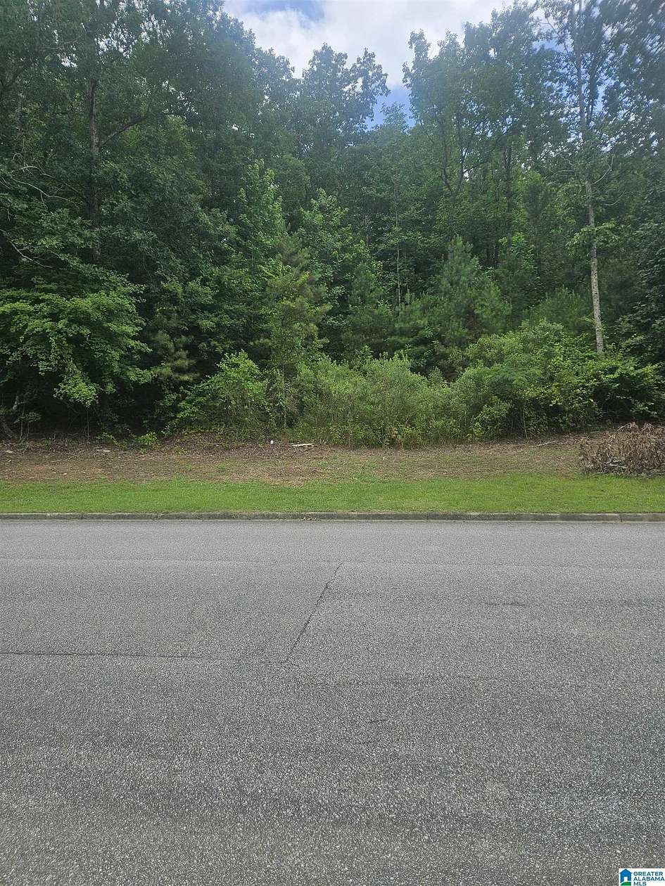 0.47 Acres of Residential Land for Sale in Chelsea, Alabama