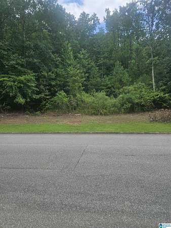 0.47 Acres of Residential Land for Sale in Chelsea, Alabama