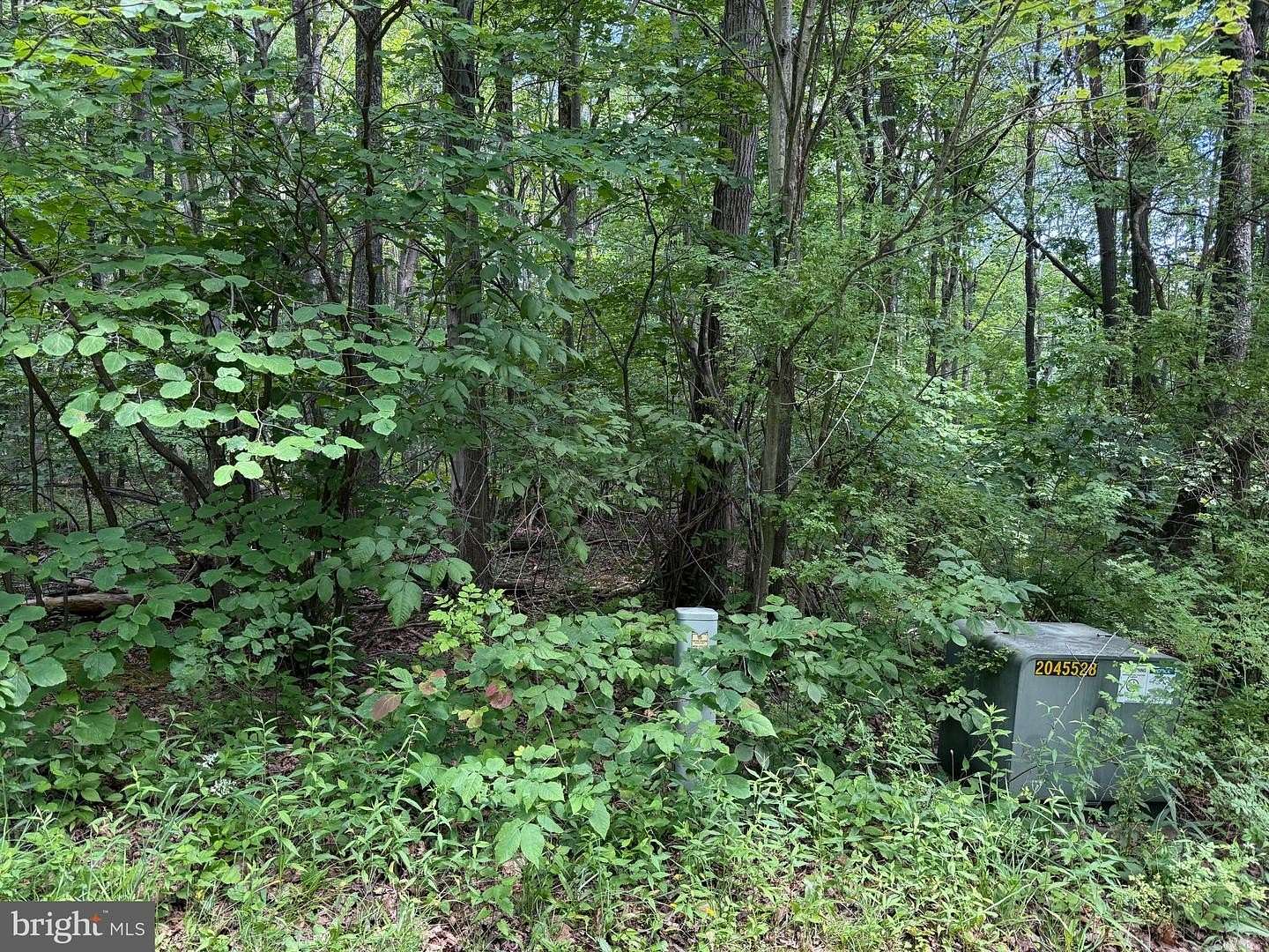 2 Acres of Residential Land for Sale in Swanton, Maryland