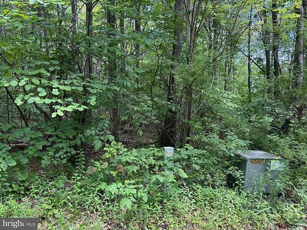 2 Acres of Residential Land for Sale in Swanton, Maryland