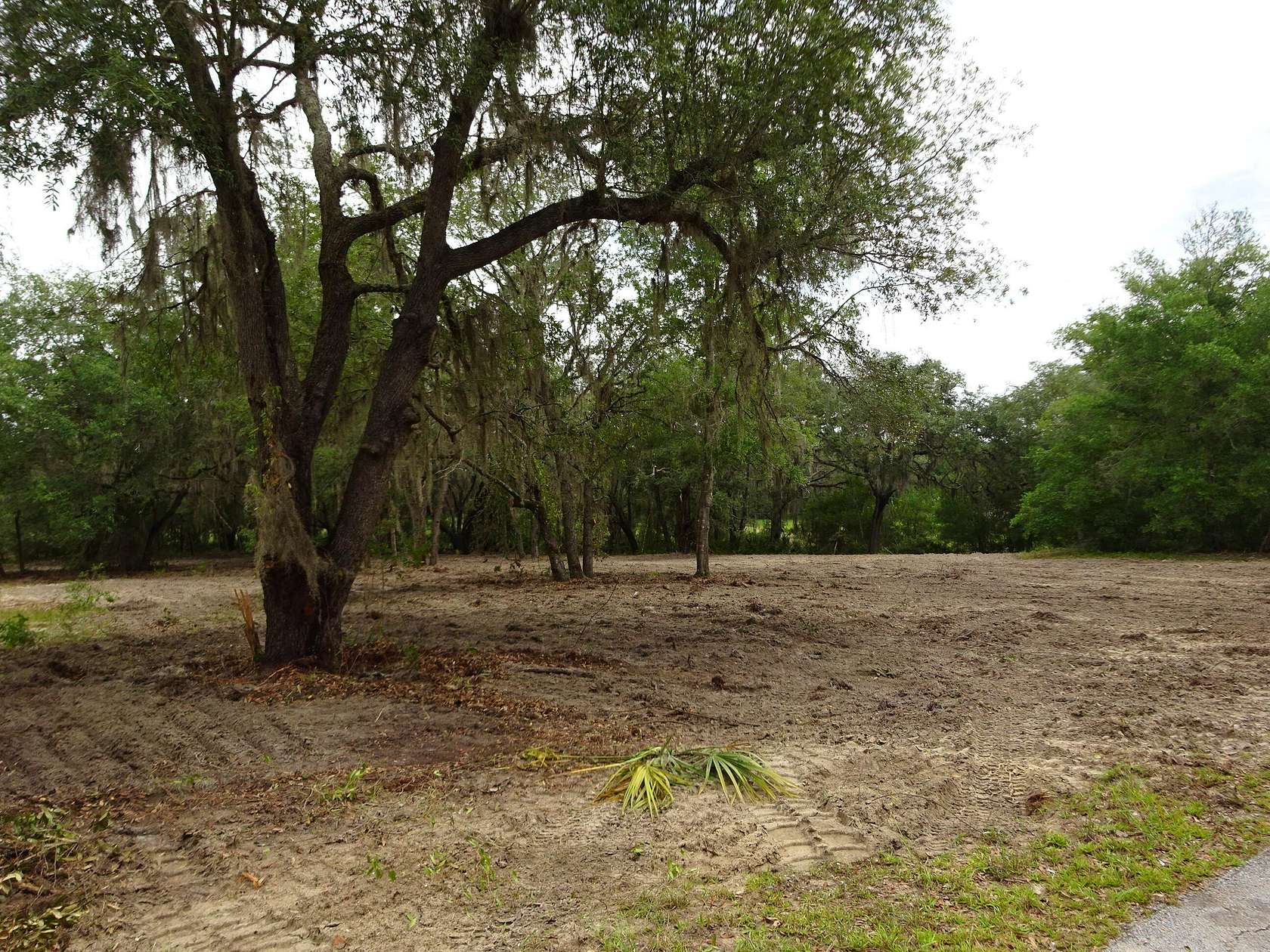 1.3 Acres of Residential Land for Sale in Dunnellon, Florida