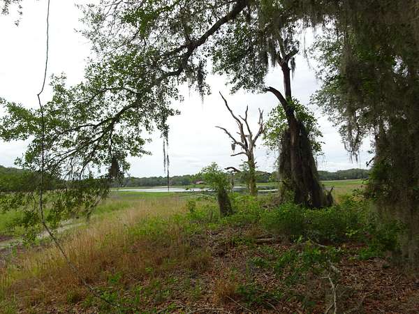 0.64 Acres of Residential Land for Sale in Dunnellon, Florida