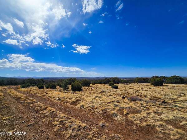 1.5 Acres of Residential Land for Sale in Concho, Arizona