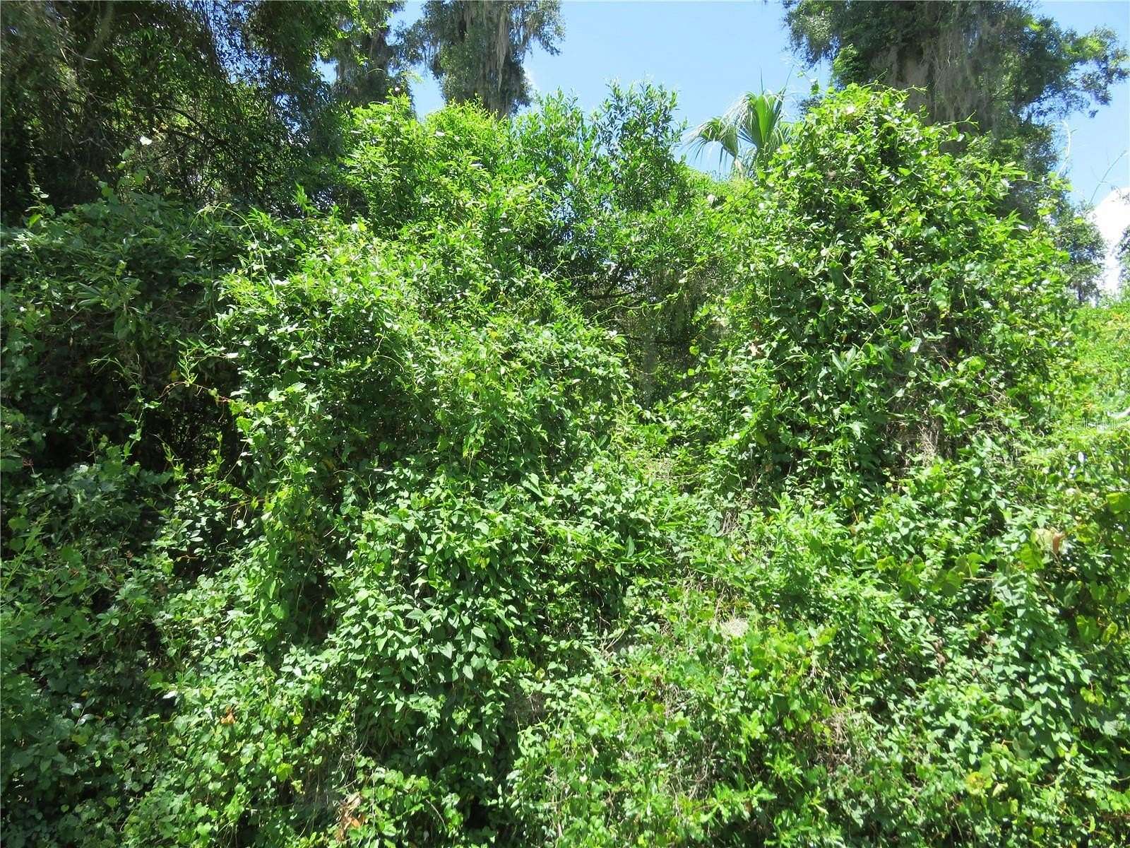 0.23 Acres of Residential Land for Sale in Summerfield, Florida