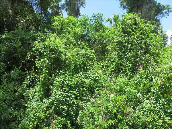 0.23 Acres of Residential Land for Sale in Summerfield, Florida