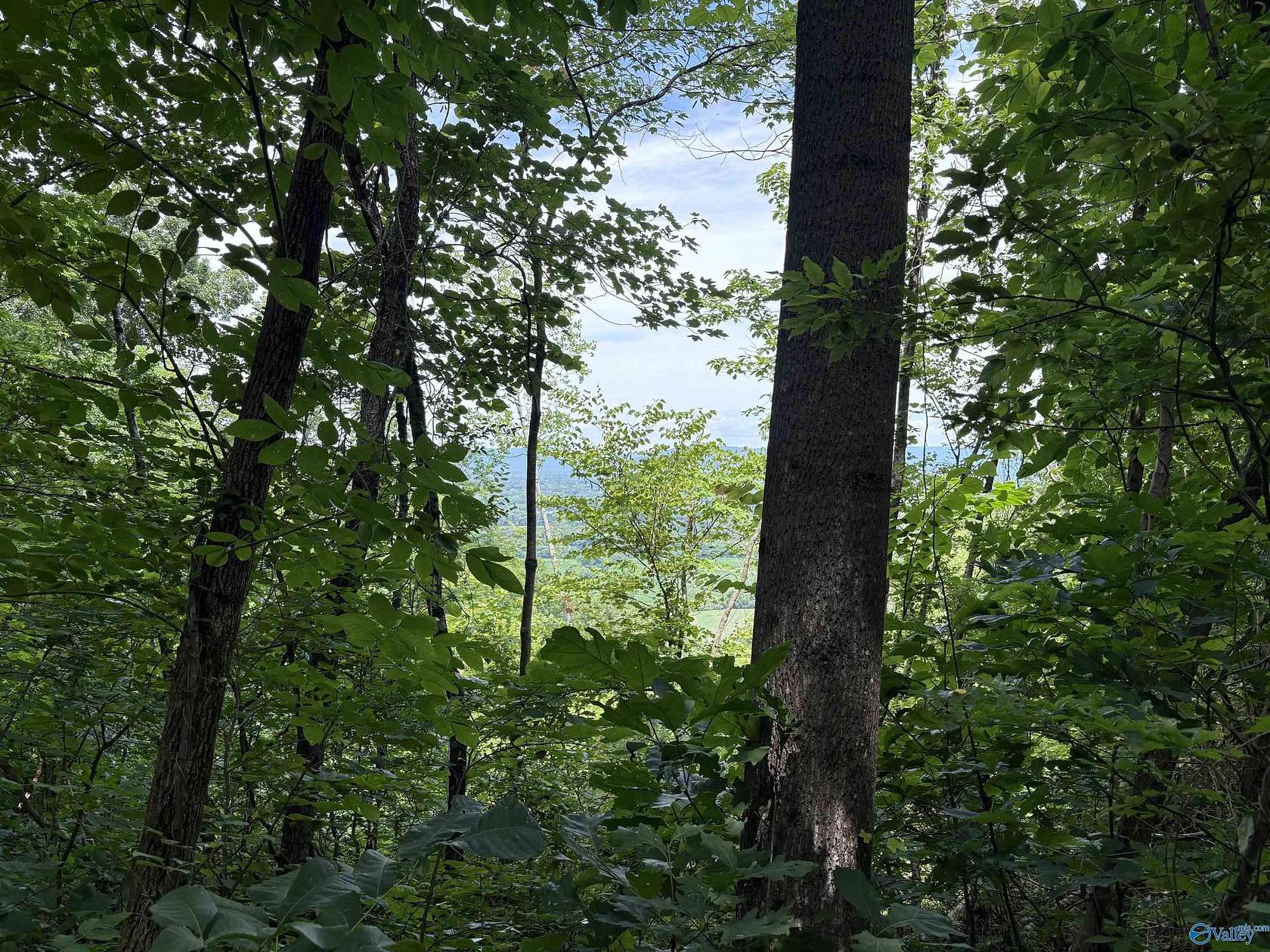 50 Acres of Recreational Land for Sale in Stevenson, Alabama