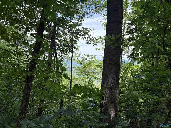 50 Acres of Recreational Land for Sale in Stevenson, Alabama