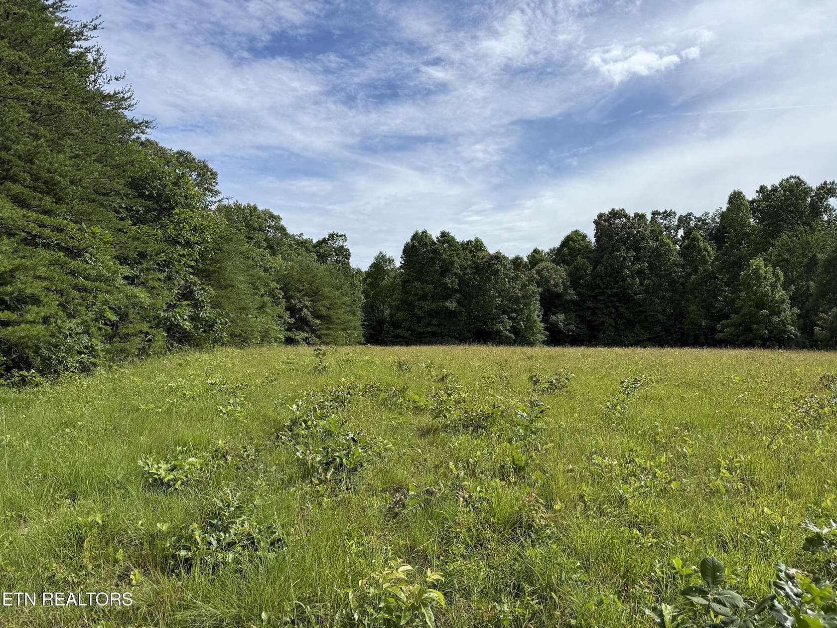 41 Acres of Recreational & Residential Land for Sale in Crossville, Tennessee